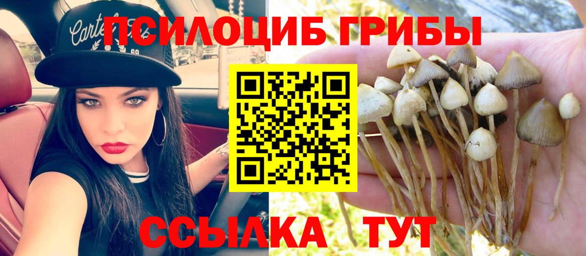 Галлюциногенные грибы ЛСД  цены   Самара  Вход с VPN  Псилоцибиновые грибы Magic Shrooms 